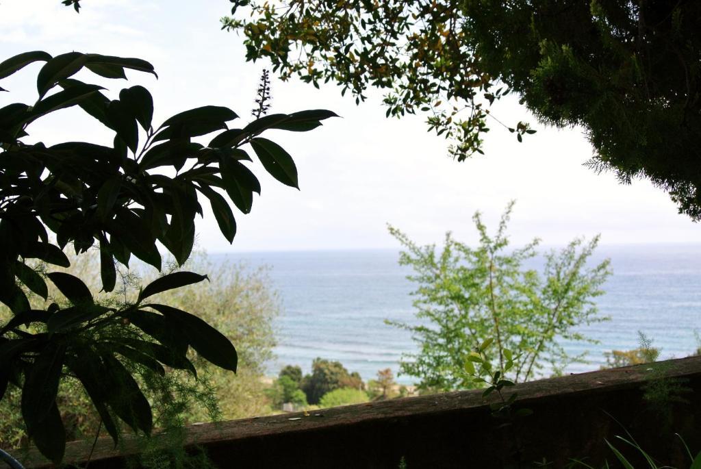 Hotel Residence San Pieru Tarcu Luaran gambar