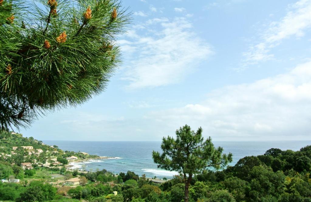 Hotel Residence San Pieru Tarcu Luaran gambar