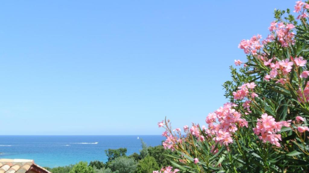 Hotel Residence San Pieru Tarcu Bilik gambar