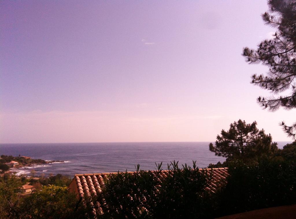 Hotel Residence San Pieru Tarcu Luaran gambar